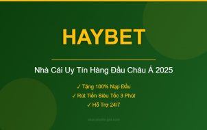 HAYBET Nhà Cái Uy Tín